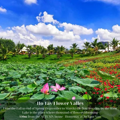 The Autumn House - Homestay at To Ngoc Van – Photos 6